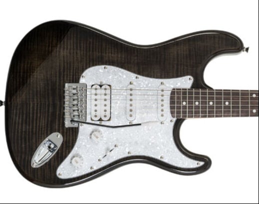 Washburn Sonamaster SDFTB Deluxe Elektro Gitar