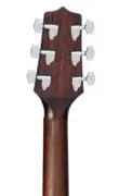 TAKAMINE GD21CE SM Satin Molasses Elektro Akustik Gitar