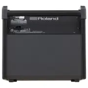 ROLAND PM-100 - 80 Watt Davul Monitörü