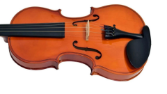 Valler VK411 4/4 Keman Parlak