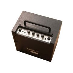 IBANEZ IBZ10GV2-U Elektro Gitar Amfisi