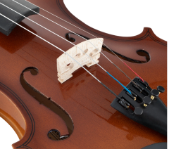 VANETTA VL-1A 1/2 Parlak Cila Keman