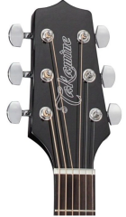 Takamine GD10CE-NS Elektro Akustik Gitar