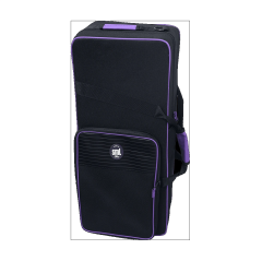 SML Paris A420-II Alto Saksafon