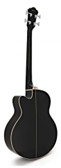 IBANEZ AEB8E-BK AEL Serisi Siyah Akustik Bas Gitar