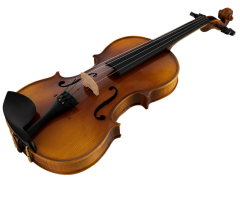 ANTON BRUCKNER MAESTRO V Keman (Arşe ve Case Dahil, Pirastro Telli)