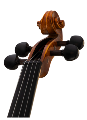 ANTON BRUCKNER MAESTRO V Keman (Arşe ve Case Dahil, Pirastro Telli)