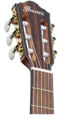 Ibanez FRH10N-NTF Elektro Klasik Gitar