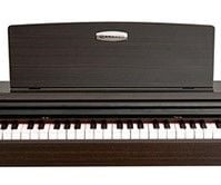 Pearl River V-03 Dijital Piyano (Gül Ağacı)