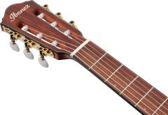 Ibanez FRH10N-RGF Thinline Elektro Klasik Gitar