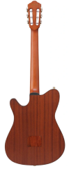 Ibanez FRH10N-RGF Thinline Elektro Klasik Gitar
