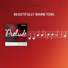 D'Addario J810 4/4M Prelude Keman Tel Seti