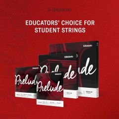 D'Addario J810 4/4M Prelude Keman Tel Seti