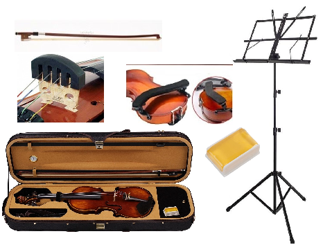 Carlovy VLA8 - 4/4 Keman Set