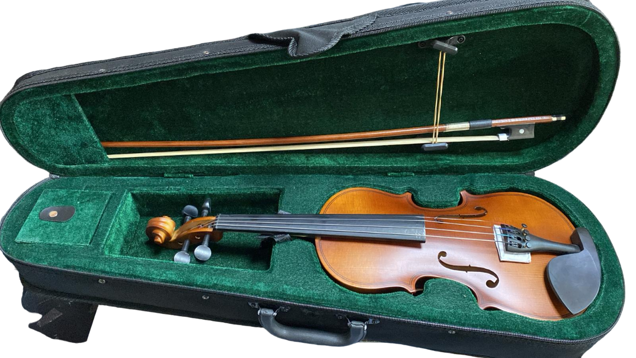 [Outlet] VANETTA VL-1B 1/2 Mat Keman