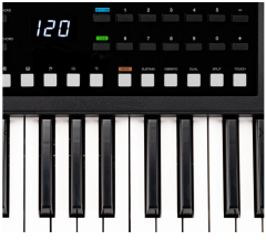 Valler RA61 Led Ekranlı 5 Oktav Tuş Hassasiyetli Org