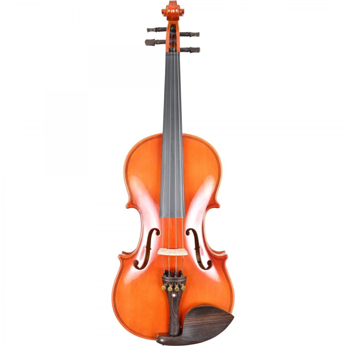 Bergner BEV-100-44 4/4 Keman