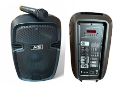 ACE AUDIO PAQ-10 120 WATT ŞARJLI AMFİ