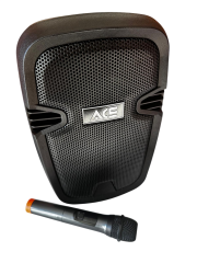 ACE AUDIO PAQ-8BL 100 WATT ŞARJLI AMFİ