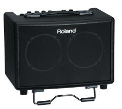 ROLAND AC-33 (M) 30 Watt Akustik Enstrüman Amfisi