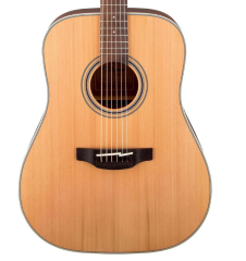 Takamine GD20-NS Akustik Gitar