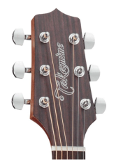 Takamine GD20-NS Akustik Gitar