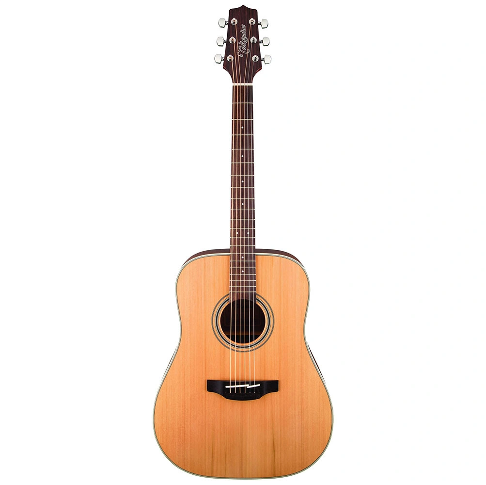 Takamine GD20-NS Akustik Gitar