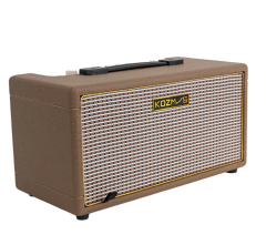 KOZMOS Flare-20 Dahili Efektli Elektro Gitar Amfisi