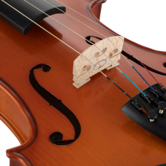 VANETTA VL-2A / 1/2 Abanoz Kulaklı Masif Mat Keman