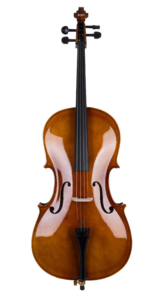 VANETTA WN-20 / 4/4 Çello