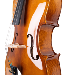 VANETTA WN-20 / 4/4 Çello