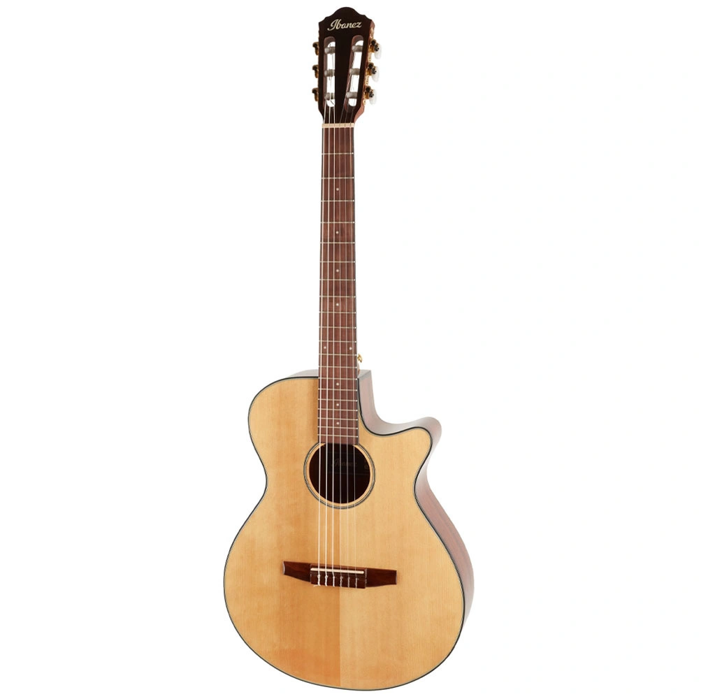 IBANEZ AEG50N-NT 4/4 Elektro Klasik Gitar
