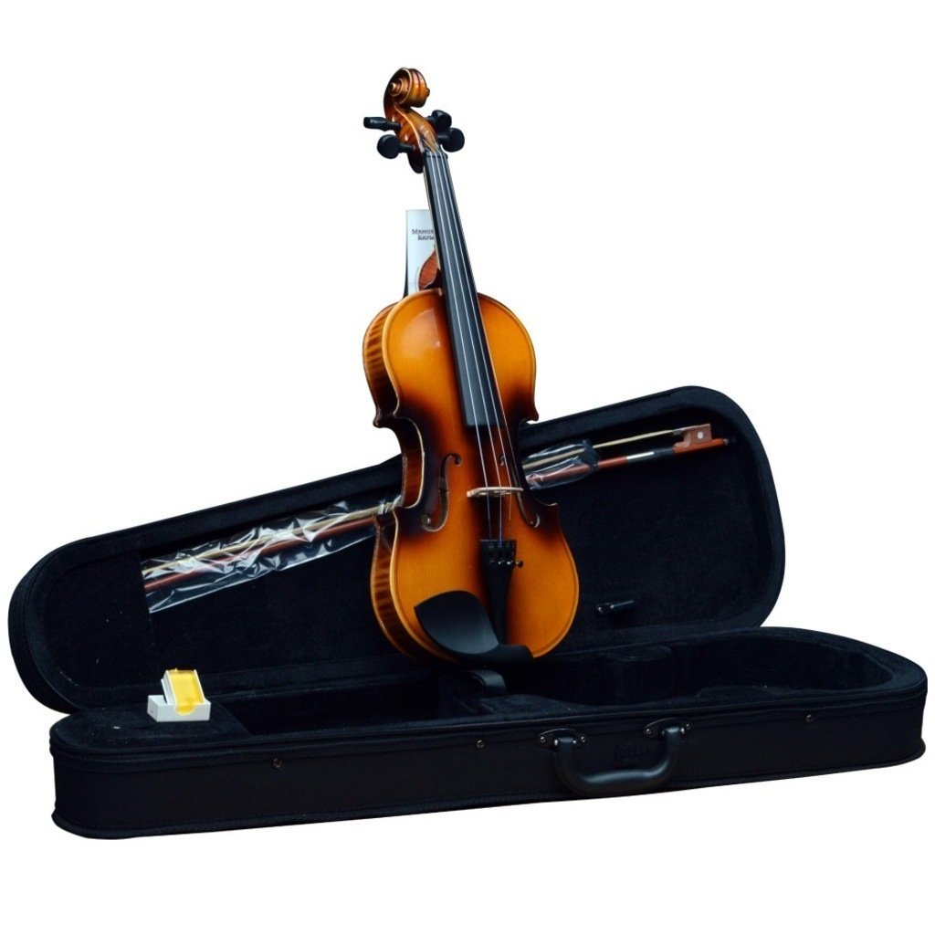 Manuel Raymond MRV44FLM 4/4 Keman