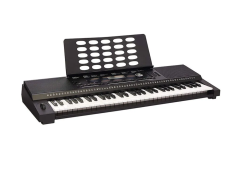 ROLAND E-X20 Tuş Hassasiyetli Ritimli Org Klavye