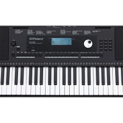 ROLAND E-X20 Tuş Hassasiyetli Ritimli Org Klavye