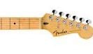 Fender Standard Stratocaster Akçaağaç Klavye Candy Cola Elektro Gitar