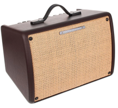 Ibanez T30II-U Akustik Gitar Amfisi